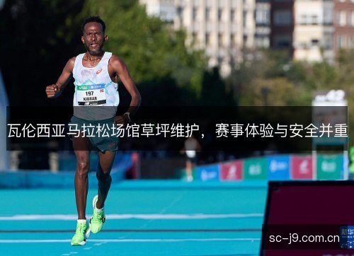 瓦伦西亚马拉松场馆草坪维护,赛事体验与安全并重 瓦伦西亚马拉松场馆草坪维护,赛事体验与安全并重
